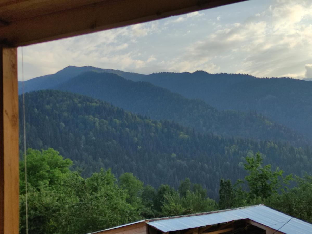 Ecohouse Svaneti Местія Екстер'єр фото
