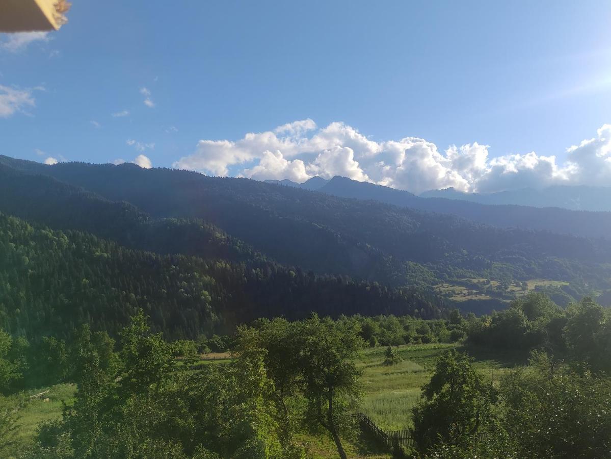 Ecohouse Svaneti Местія Екстер'єр фото