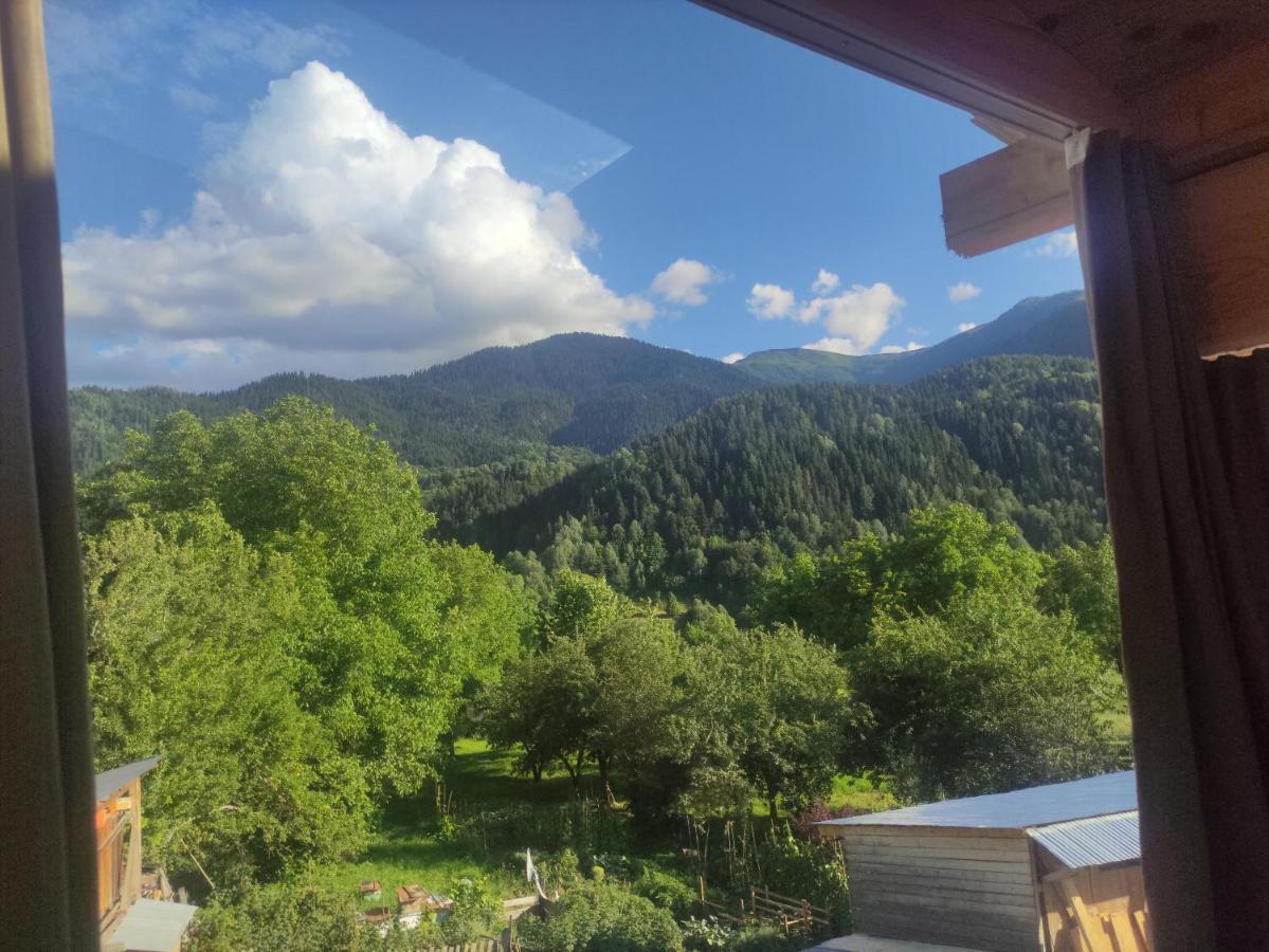 Ecohouse Svaneti Местія Екстер'єр фото