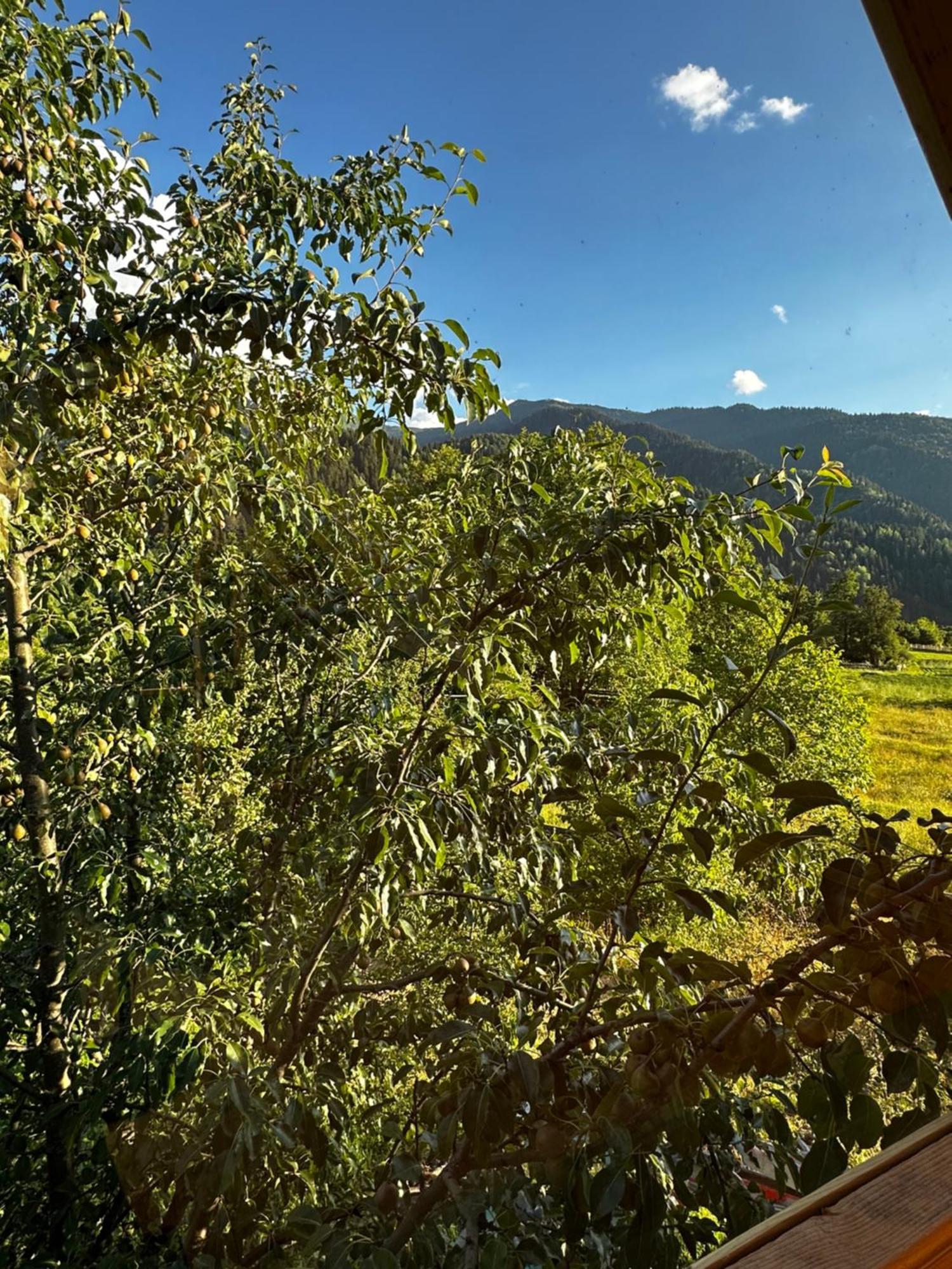 Ecohouse Svaneti Местія Екстер'єр фото