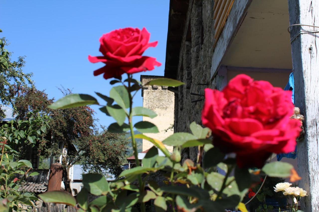 Ecohouse Svaneti Местія Екстер'єр фото